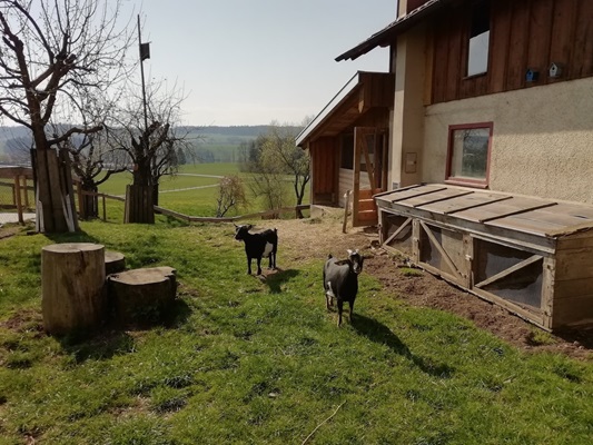 Ferienhof Frei - Isny im Westallgäu